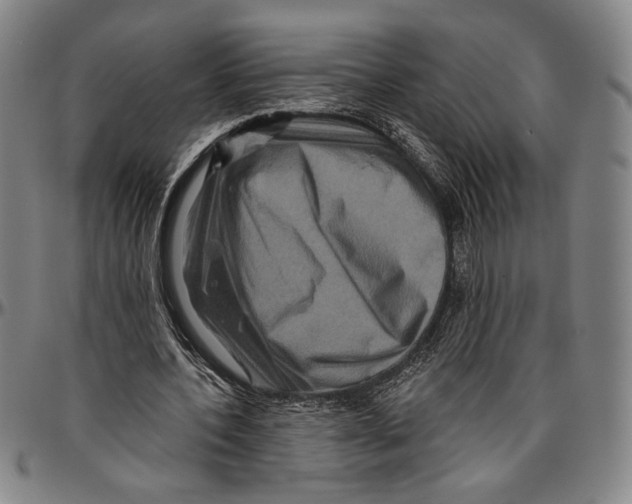 X0000096470532200802211153
