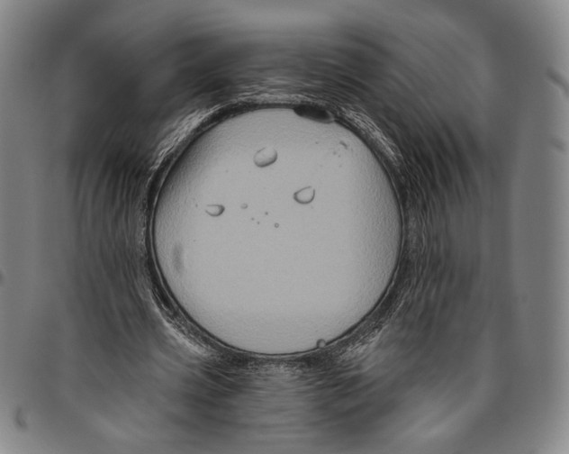 X0000096470533200802211153