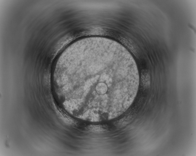 X0000096470534200802211153