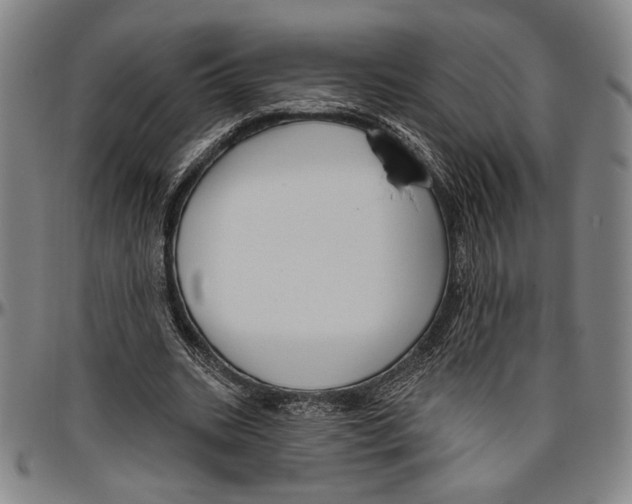X0000096470535200802211153