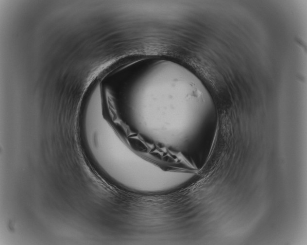 X0000096470536200802211153