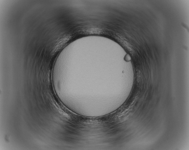 X0000096470537200802211153