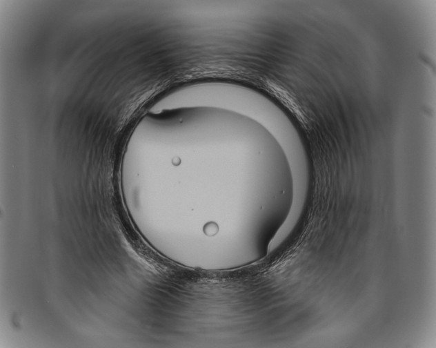 X0000096470538200802211153