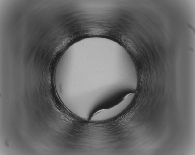 X0000096470539200802211153