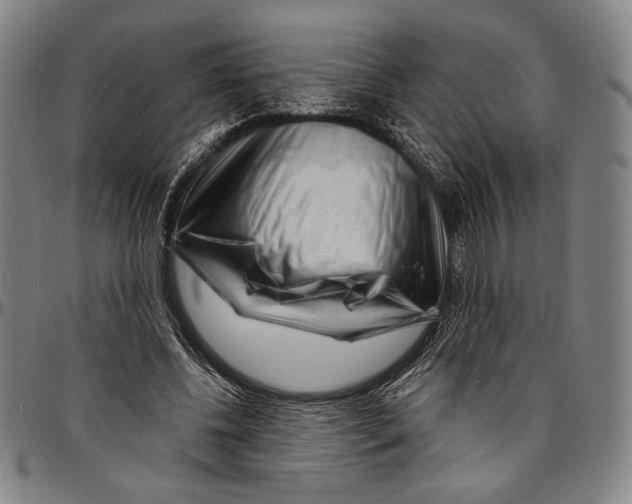 X0000096470540200802211153