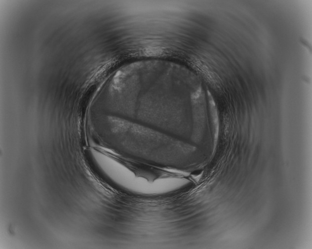 X0000096470542200802211153
