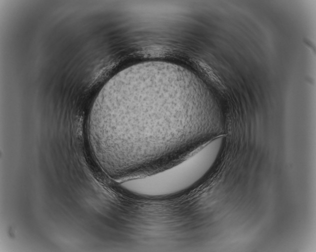 X0000096470543200802211153