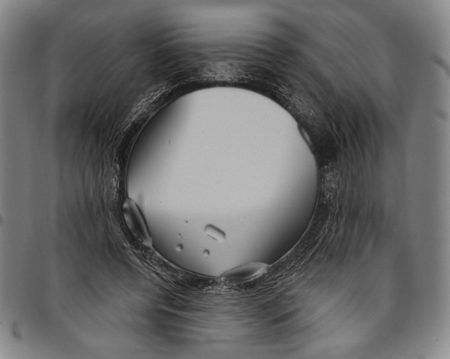 X0000096470544200802211153