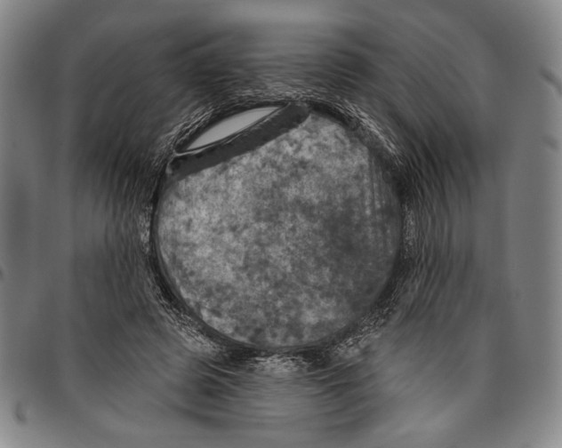 X0000096470545200802211153