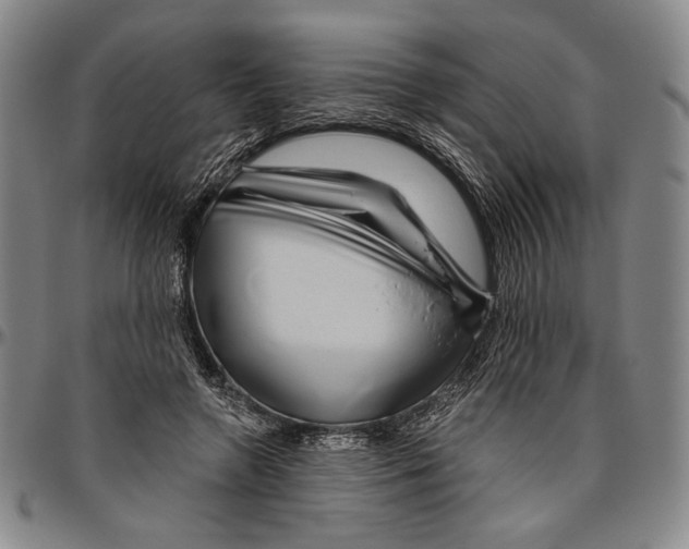 X0000096470546200802211153