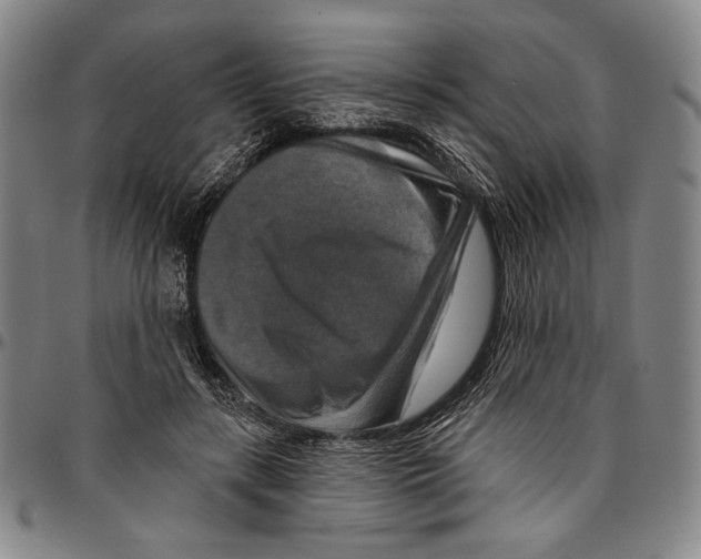 X0000096470547200802211153