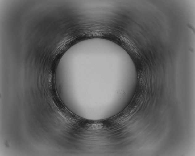 X0000096470548200802211153
