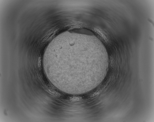 X0000096470549200802211153