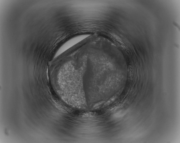 X0000096470550200802211153