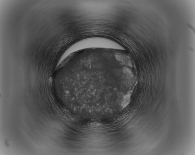 X0000096470551200802211153