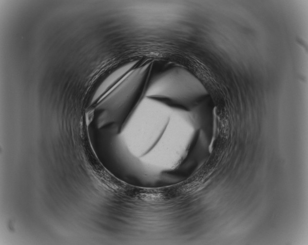 X0000096470552200802211153