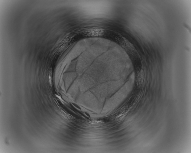 X0000096470553200802211153