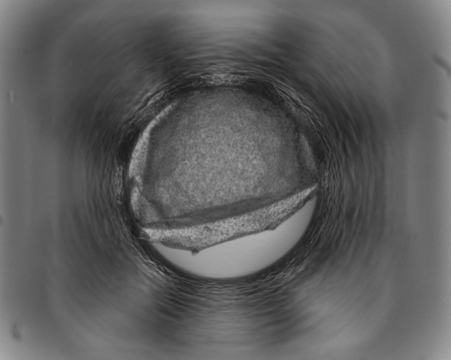 X0000096470554200802211153