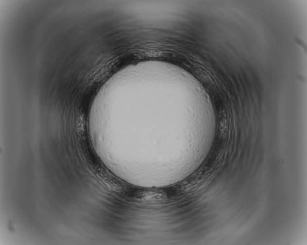 X0000096470555200802211153