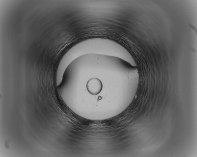 X0000096470556200802211153