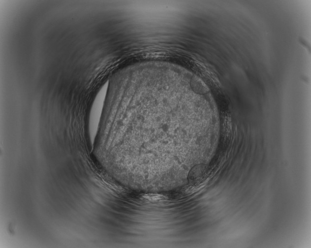 X0000096470557200802211153