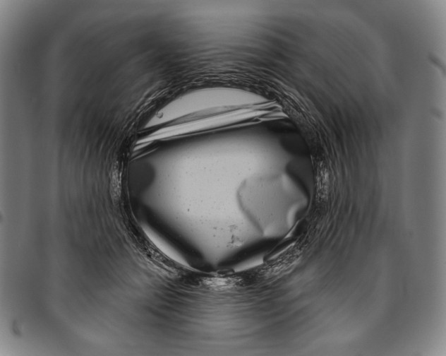 X0000096470558200802211153