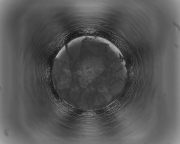 X0000096470559200802211153