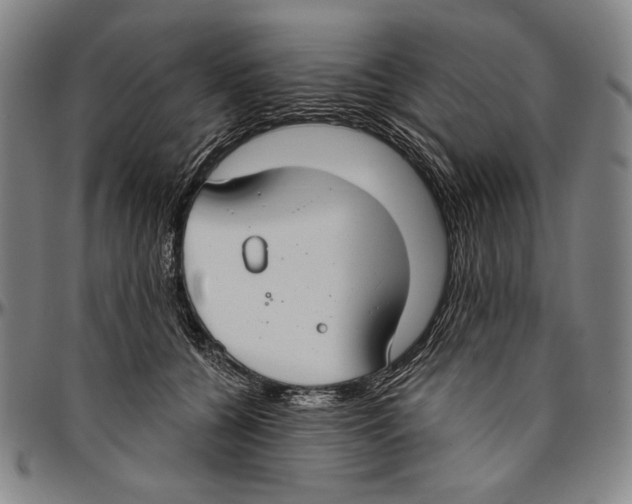 X0000096470560200802211153