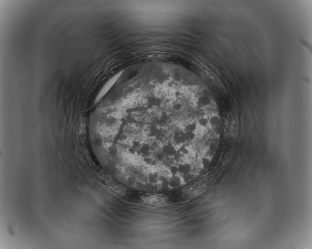 X0000096470561200802211153