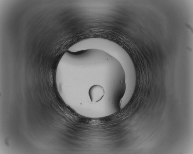 X0000096470562200802211153