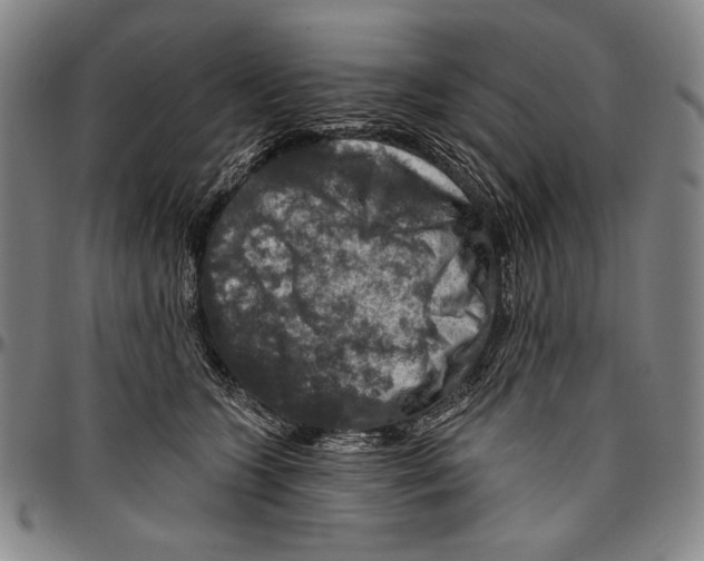 X0000096470563200802211153