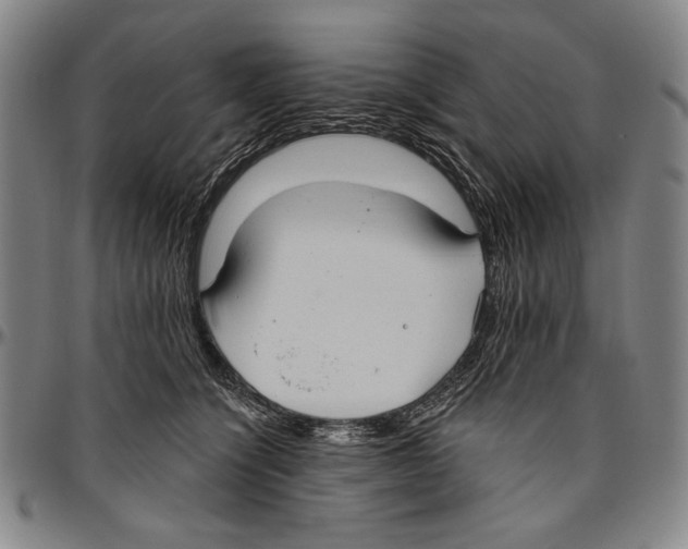 X0000096470564200802211153