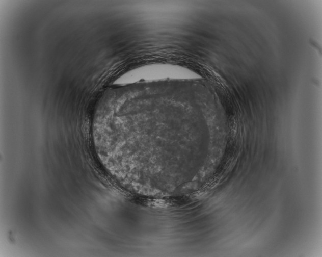 X0000096470565200802211153
