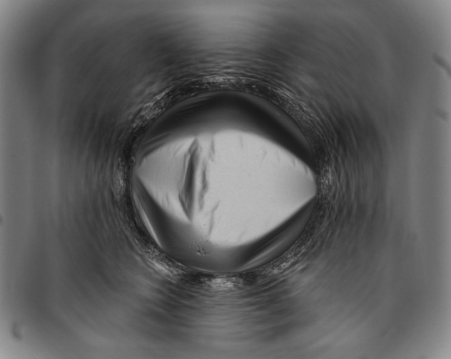 X0000096470566200802211153
