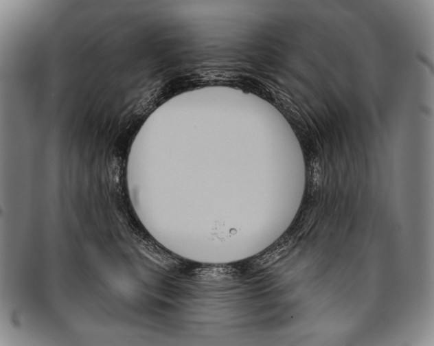 X0000096470567200802211153