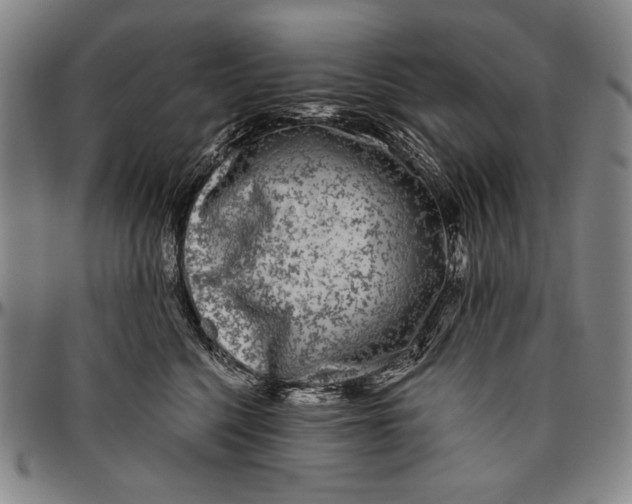 X0000096470568200802211153