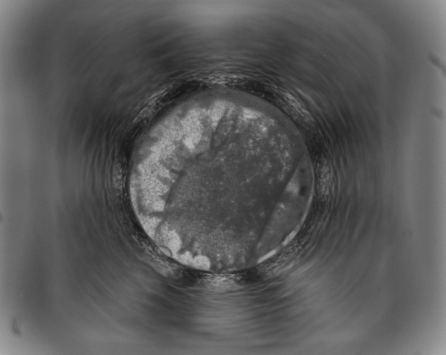 X0000096470569200802211153