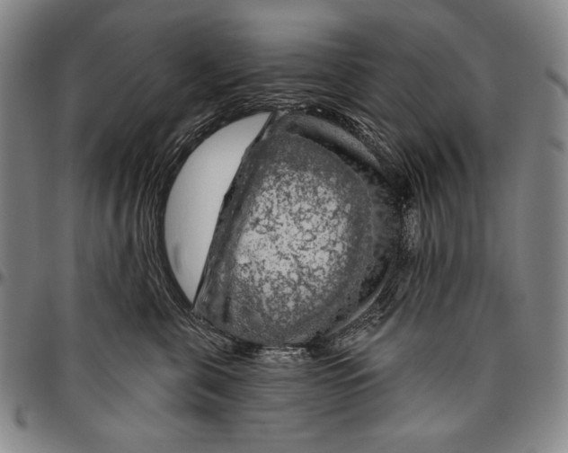 X0000096470571200802211153