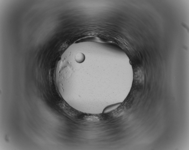 X0000096470572200802211153