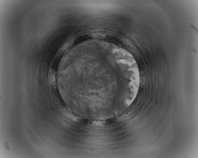 X0000096470573200802211153