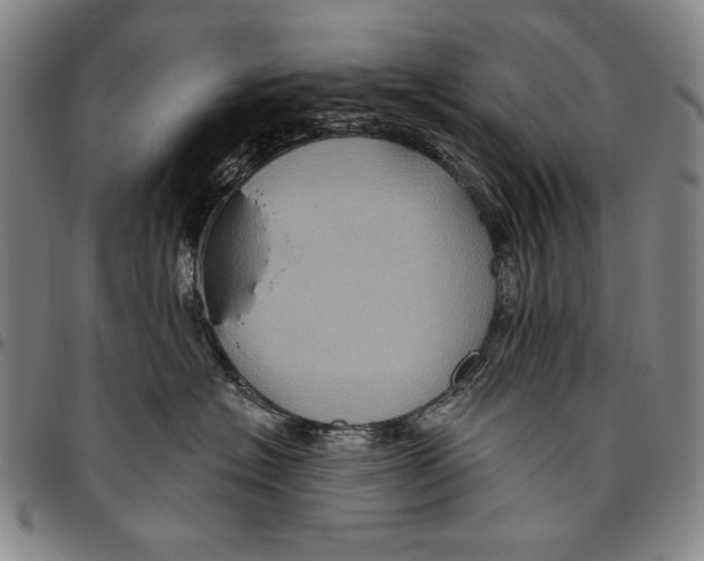 X0000096470574200802211153