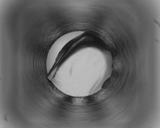 X0000096470575200802211153