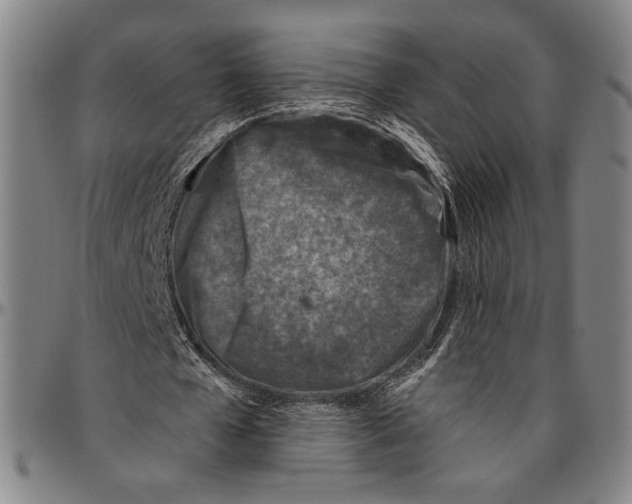 X0000096470577200802211153