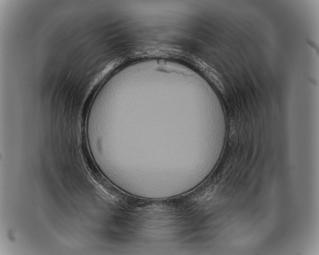 X0000096470578200802211153