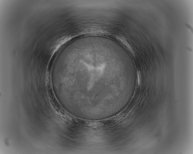 X0000096470579200802211152