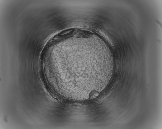 X0000096470580200802211152