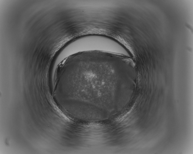X0000096470581200802211152