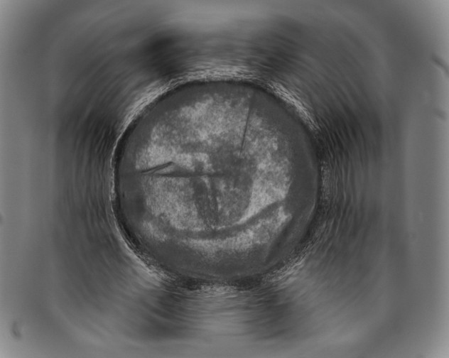 X0000096470582200802211152