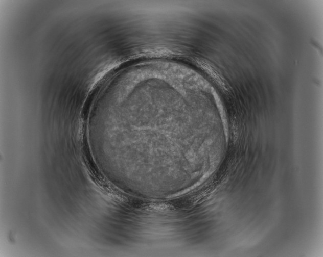 X0000096470583200802211152