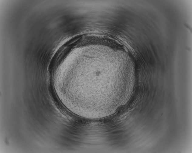 X0000096470584200802211152